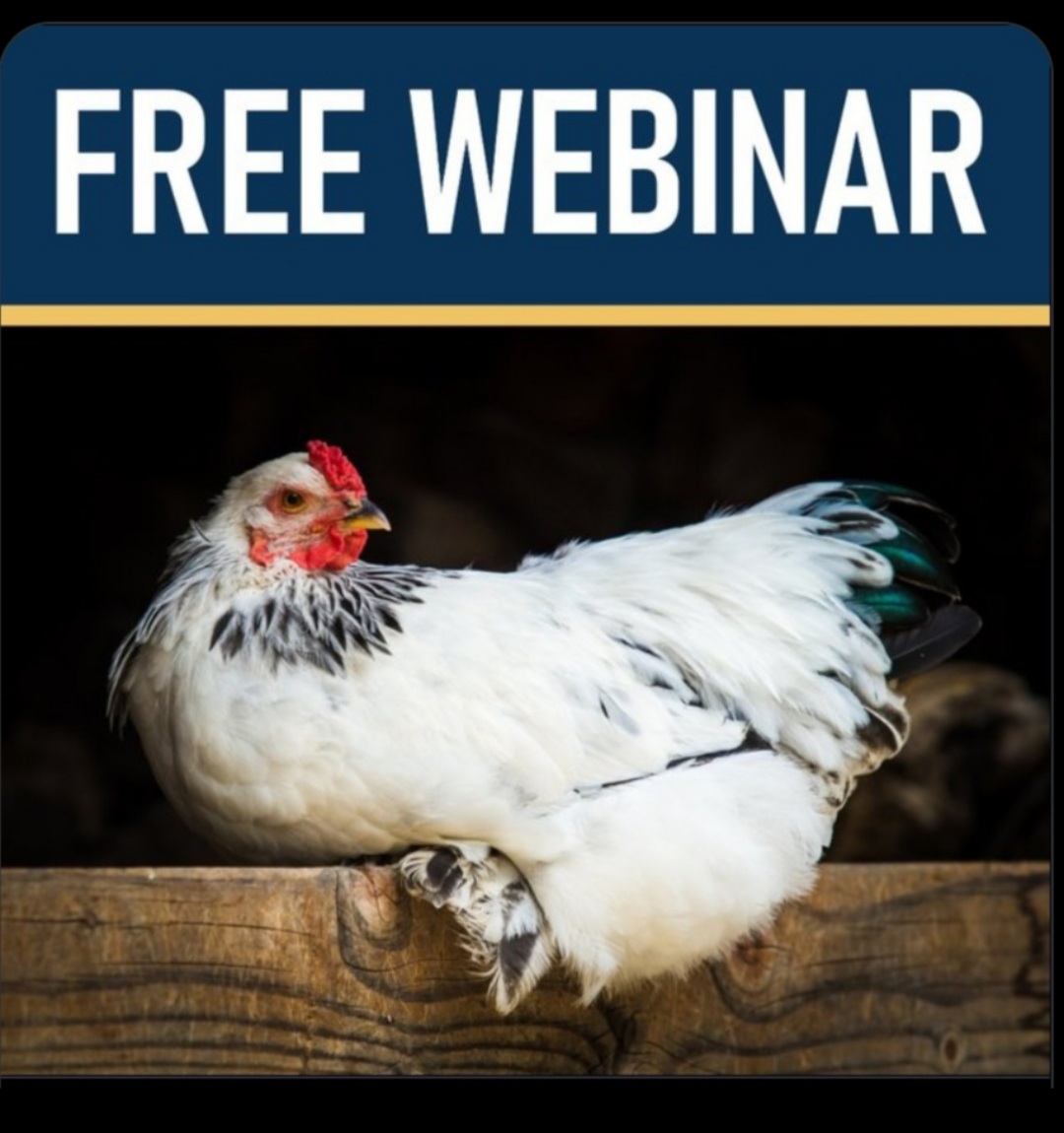 Kalonymus tweet media