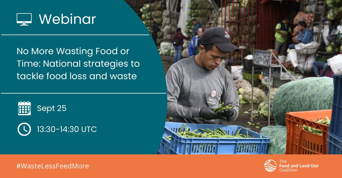 🚨 #SaveTheDate!

With #COP28 fast approaching, join @FOLUCoalition and an exciting line-up of experts for a webinar on national strategies to tackle #FoodLossAndWaste.

🗓️ September 25th
⏰ 13:30 UTC

🔗wri.zoom.us/webinar/regist…

#WasteLessFeedMore