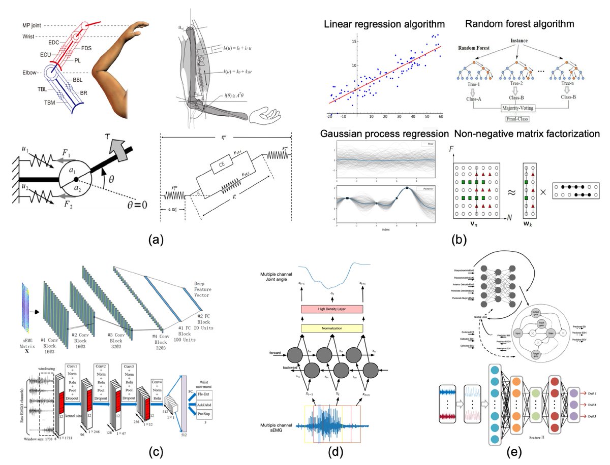 Biomim_MDPI's tweet photo. #RecommendedPaper
A Review of Myoelectric Control for Prosthetic Hand Manipulation by Ziming Chen, et. al. @Tsinghua_Uni
➡️Read the full paper here: https://t.co/lq4sSvIOgK
✔️#myoelectric; #recognition; #ControlStrategy; #augmented; #prosthetic https://t.co/wd7tDsWLnb