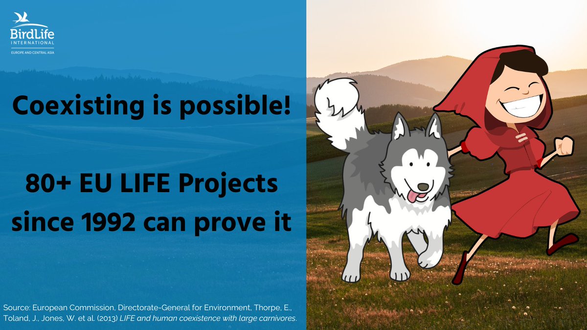 Little Red Riding Hood needs an update! 🐺👧❤️

More than 80 EU-funded projects over 2 decades demonstrate that coexistence with wolves is more than possible🤝

It’s time to refresh old fairy tales with reality: find them here👇
op.europa.eu/en/publication…

#DontCryWolf