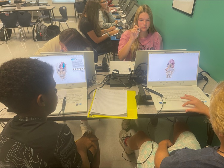 Pender Schools tweet media