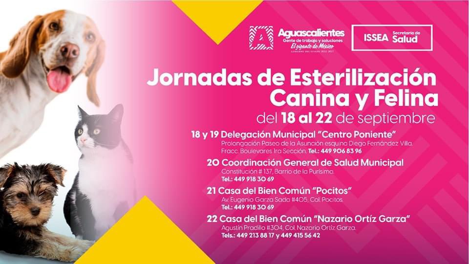 Del 18 al 22 de septiembre tendremos una Jornada de Esterilización Canina y Felina en el municipio de Aguascalientes. Ubica la dirección que te quede más cercana y haz tu cita en los teléfonos que aparecen en la imagen, de 8:00 a. m. a 3:00 p. m.

¡Te esperamos!