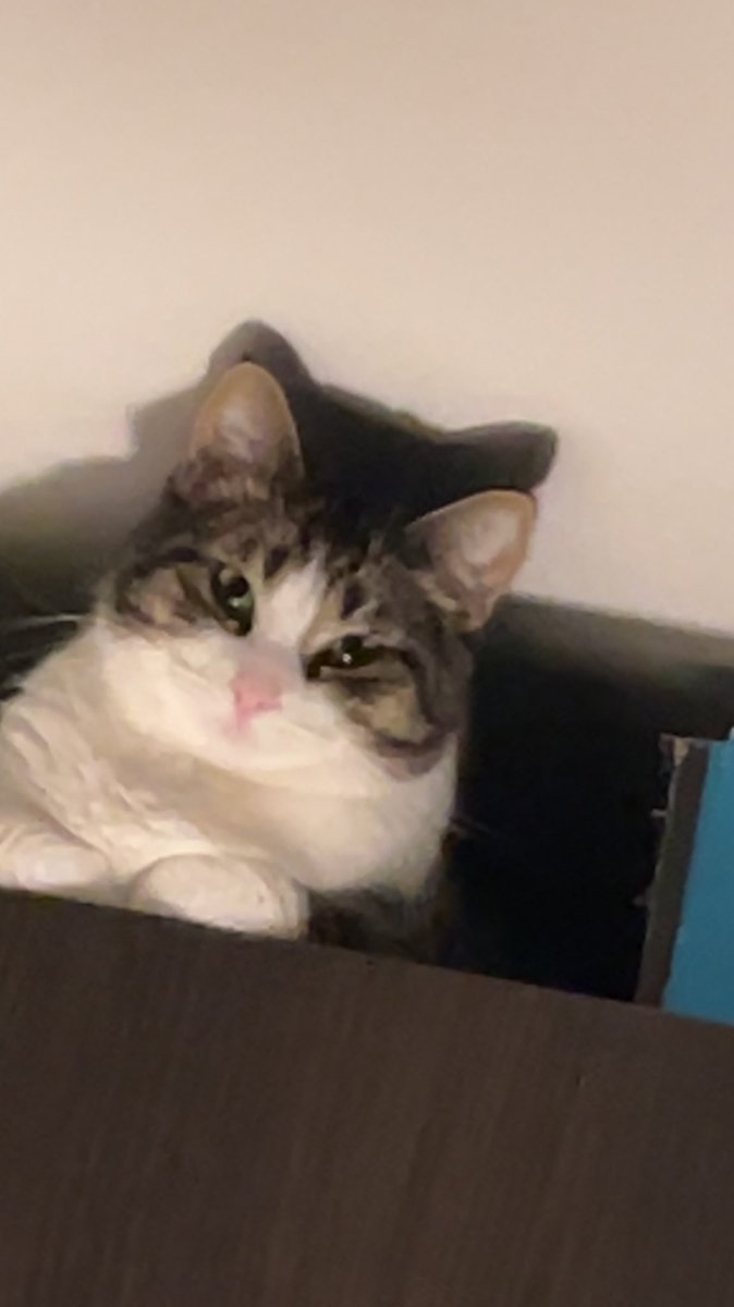 mickers101's tweet image. How ominous