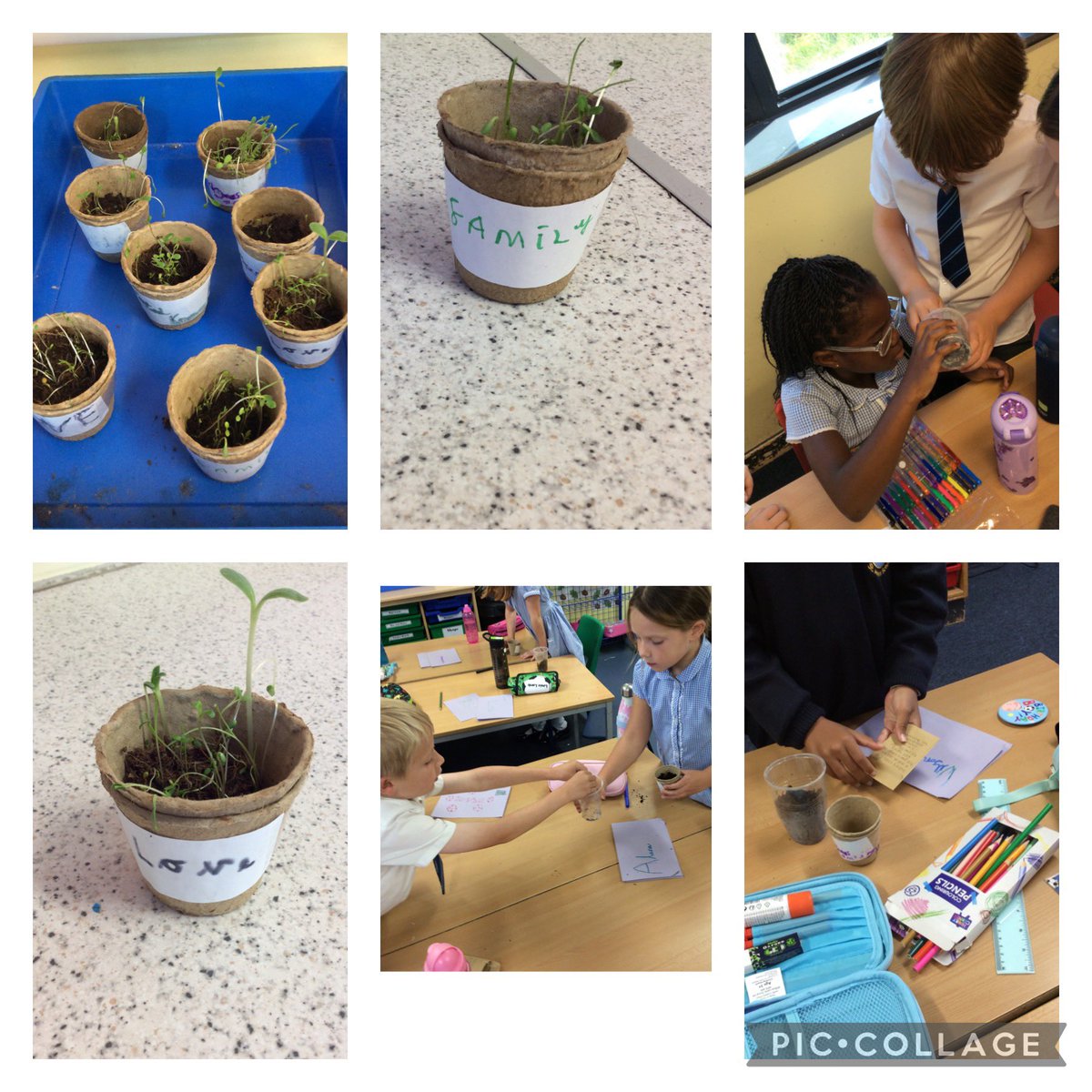 Year 3 have enjoyed planting seeds and thinking about what the word homes mean to them.