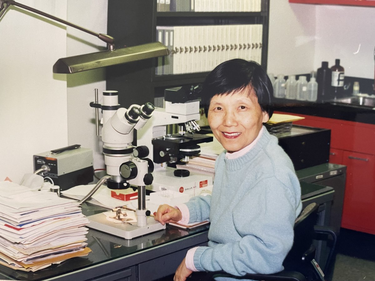 Dr Yiau-Min Huang, a dedicated WRAIR mosquito researcher, recently passed away. Her work spans over 56 years. Her work informed global Force Health Protection countermeasures and saved numerous lives. #ArmyCivilians