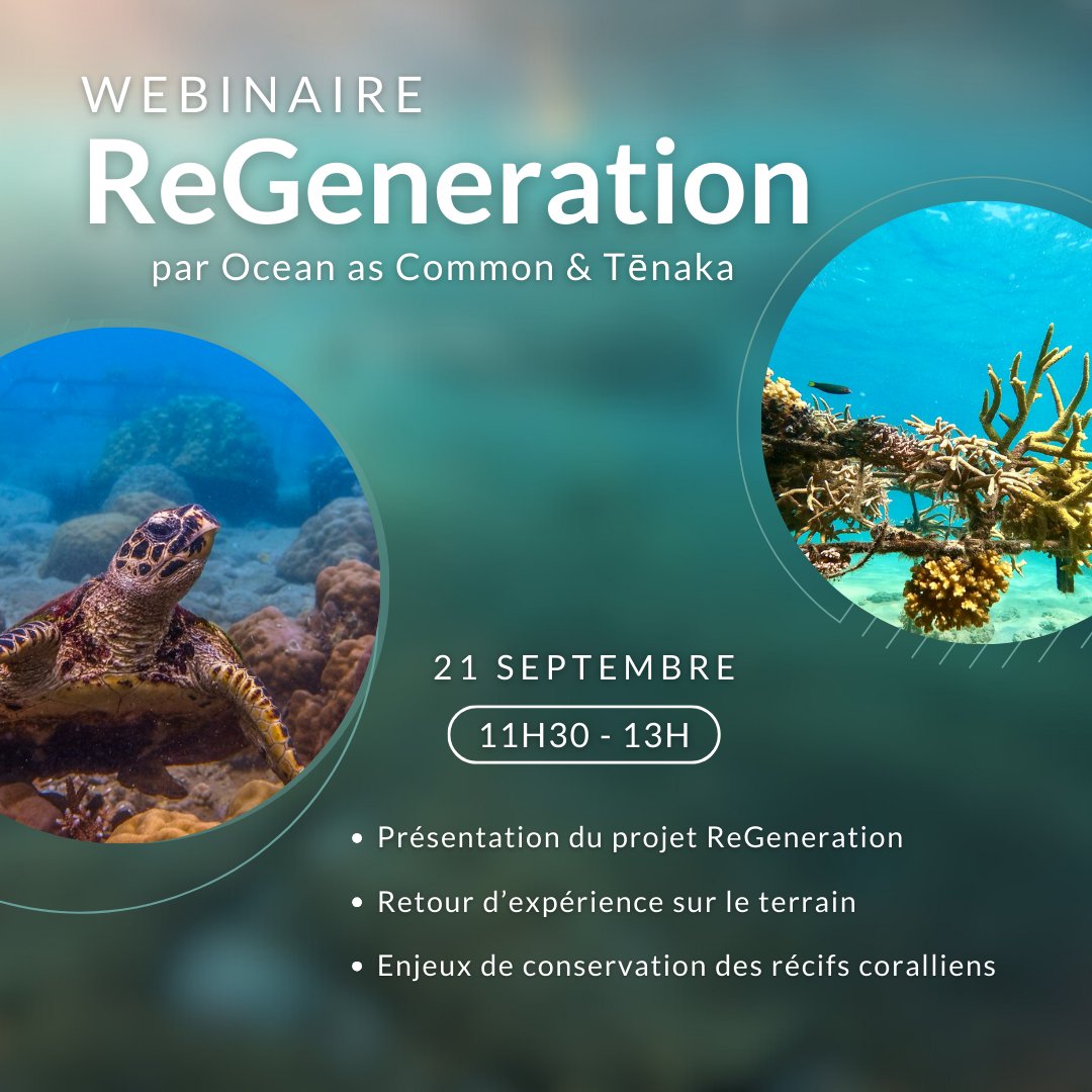 🌊 #webinaire ReGeneration ! Découvrez notre projet de restauration d’un récif corallien sur l’île de la Réunion et les enjeux de la régénération de cet écosystème précieux !
 Inscription juste ici : lnkd.in/eM8D62sg 

#corail #iledelareunion #ocean #restauration
