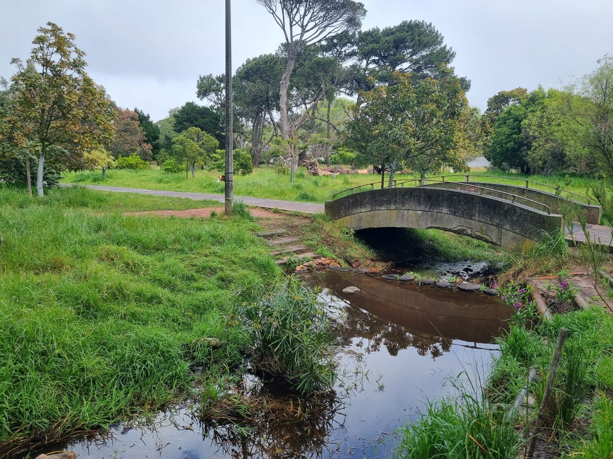 WaterCANsa's tweet photo. Earlier today some members from @OUTASA in Cape Town went to test the water at Keurboompark for #WaterCANTestingWeek. To see their results, visit https://t.co/E9QK9XzGqT https://t.co/hOq5PVr6Xg