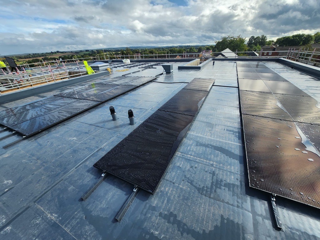 ICB_Projects tweet media