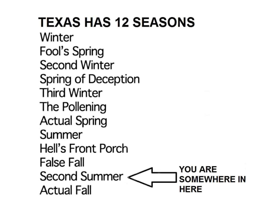 I'm sure my fellow Texans can agree that this entire summer was 'Hells front porch'! 🙄😄