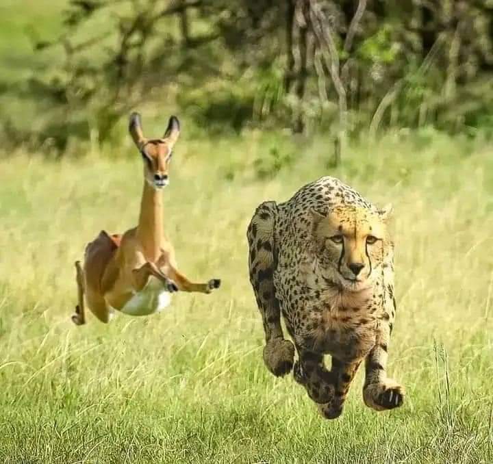 Phil John tweet media