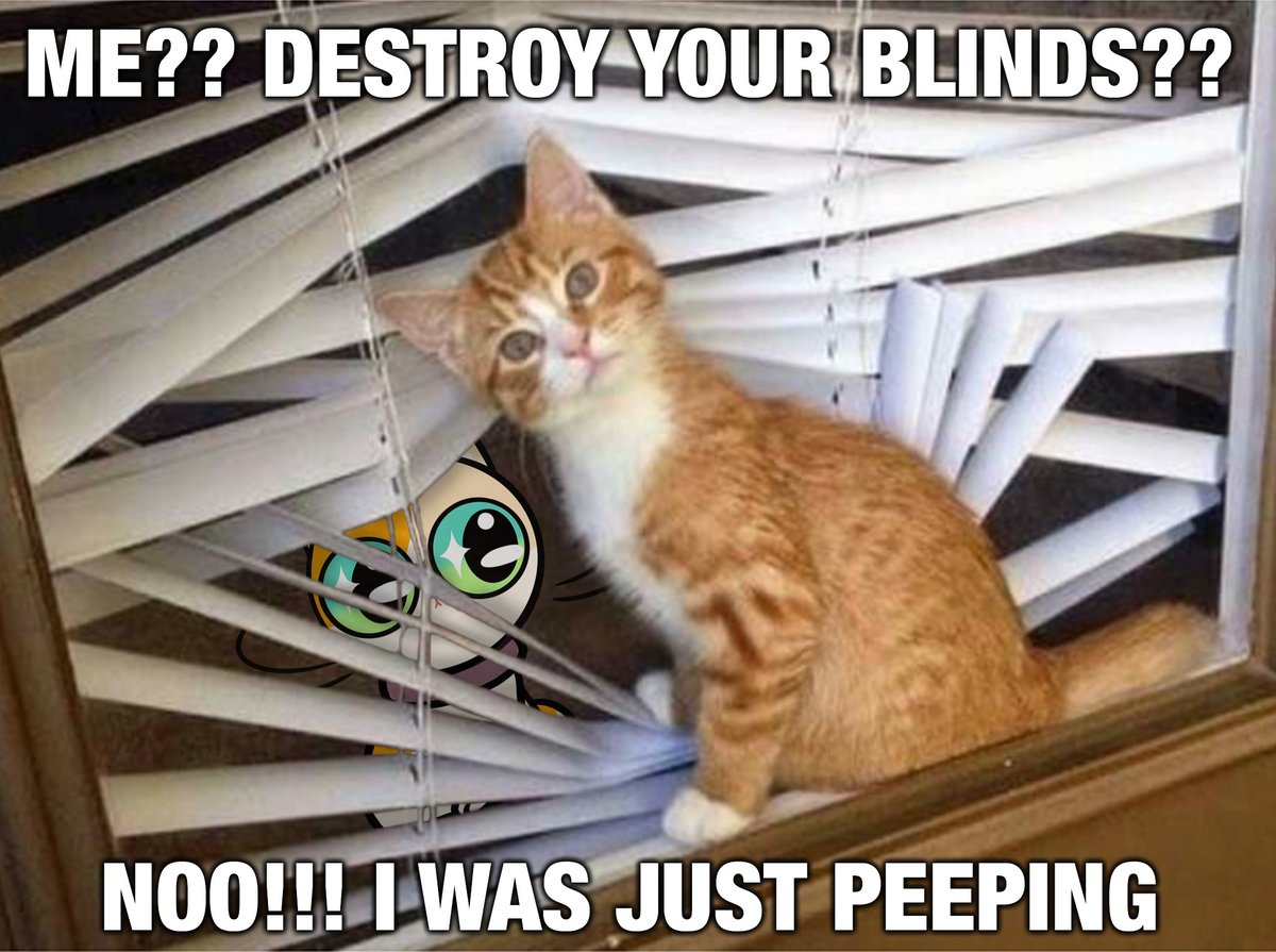 Enough peeping #CatCrew!😻 Get your paws on cute $BIGINF 💹 🚨Stage 2 has started + 819 Casino launching soon!🎰 💰Buy cute: buy1.bigeyes.space #BigEyesInfinity #BigEyesCoin #tuesdayvibe #memecoin #Crypto