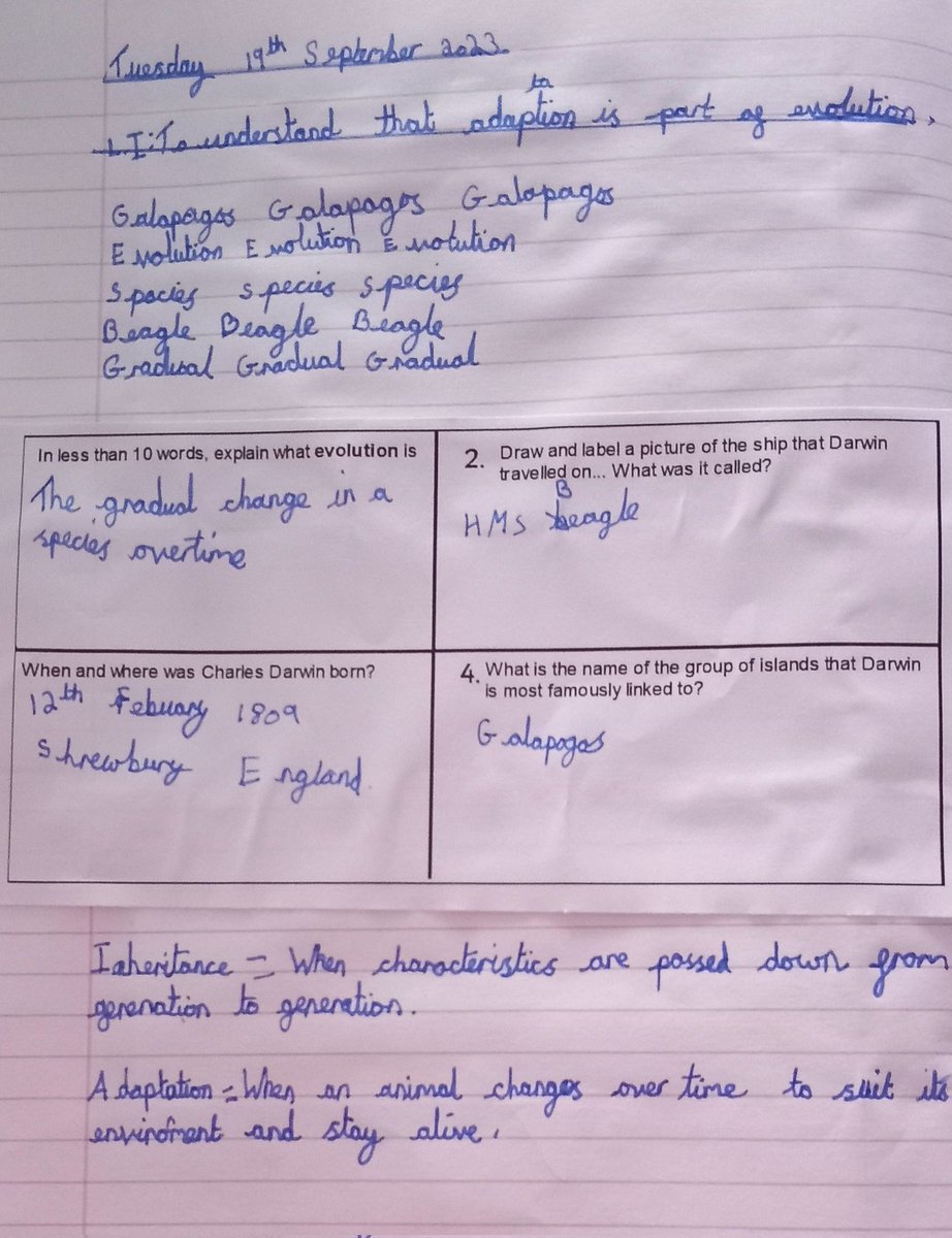 StLukesYear6CD tweet media