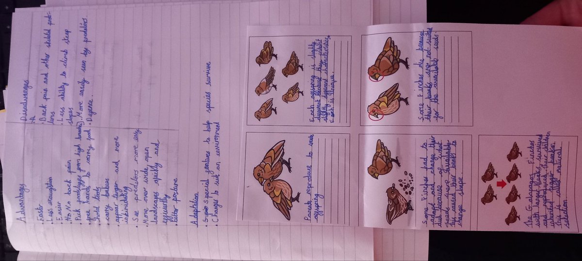 StLukesYear6CD tweet media