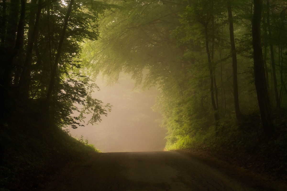 In today's Episode of Haunted Hospitality, Robin tells us about the ghosts of Stagecoach Road in Marshall, TX! #paranormalpodcast #ghost #ghoststories 
**
(Photo is not of the actual road)