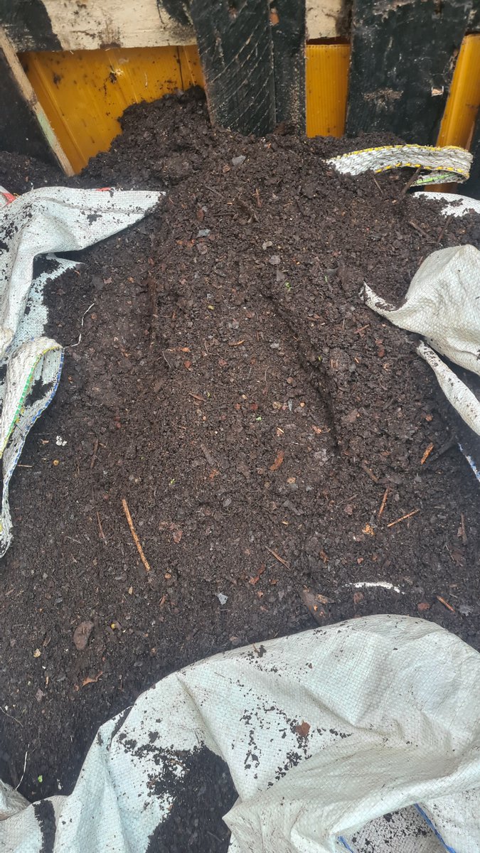 Whist sieving #compost found a #gold bracelet weight 3 grams probably 9 caret. Has to be around a year buried I think there's some marks on the clasp. Nice to find the odd bit . That can by a sandwich for lunch