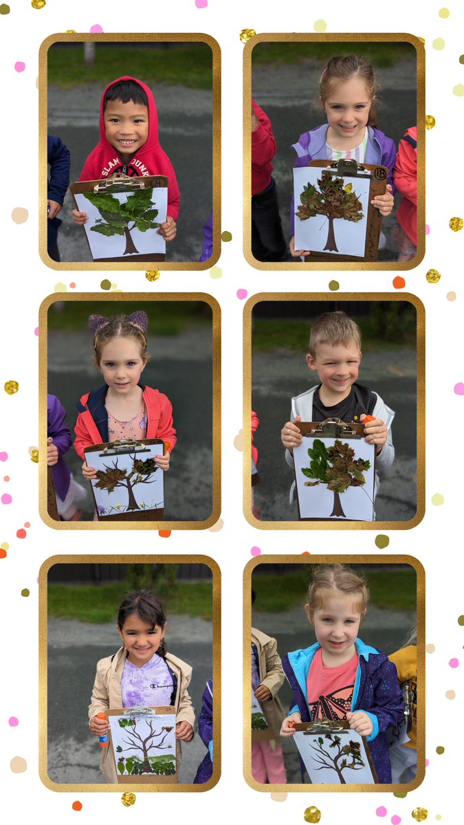 Lilly Regular tweet media