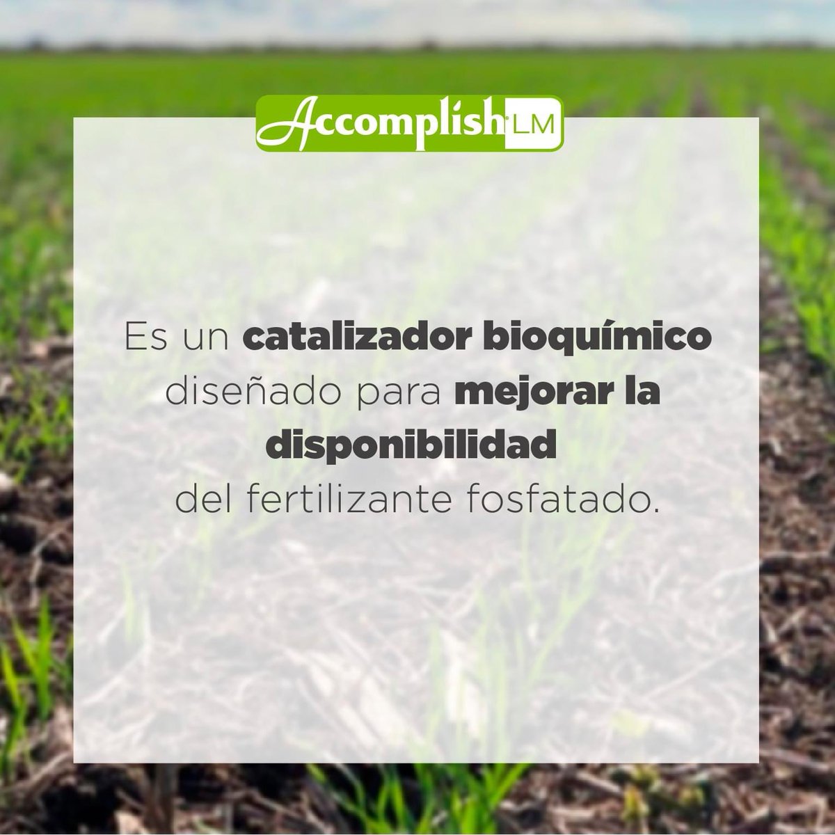 nutrien.ar tweet media