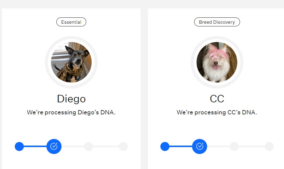 realityaddictx's tweet photo. I keep obsessively checking my #WisdomPanel results. I have no patience. I NEED to know what kind of dogs they are. Ok, I don't need to know but I'm dying to know!!! I likely have at least a week (prob 2) to go. ACK!!! https://t.co/xnKqsd49Cy