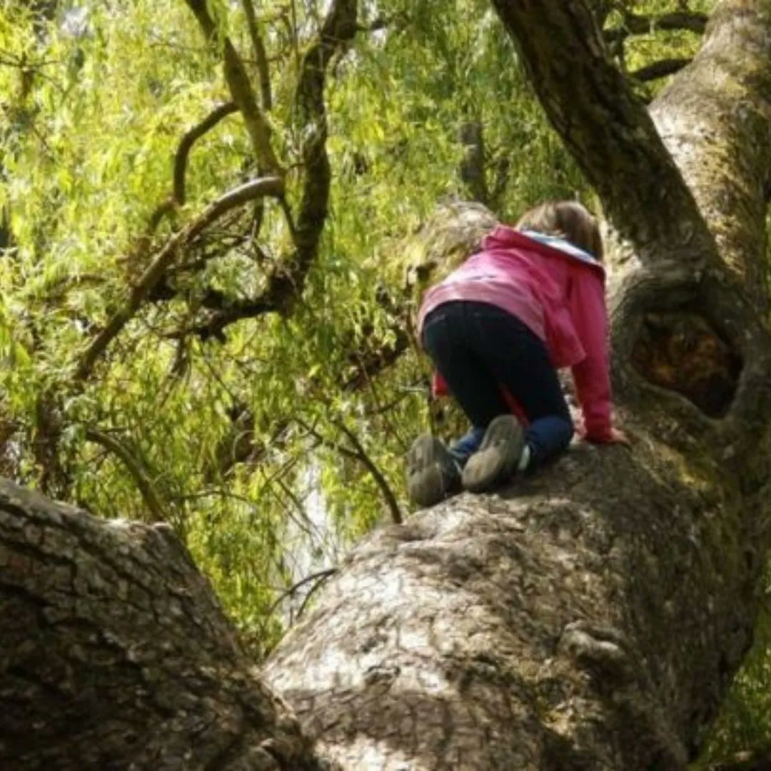 early play tweet media