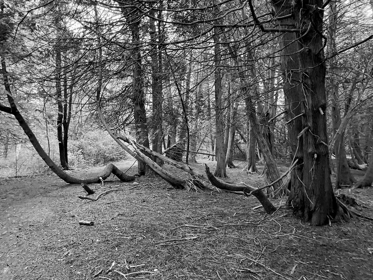 cryptogirl💋 tweet media