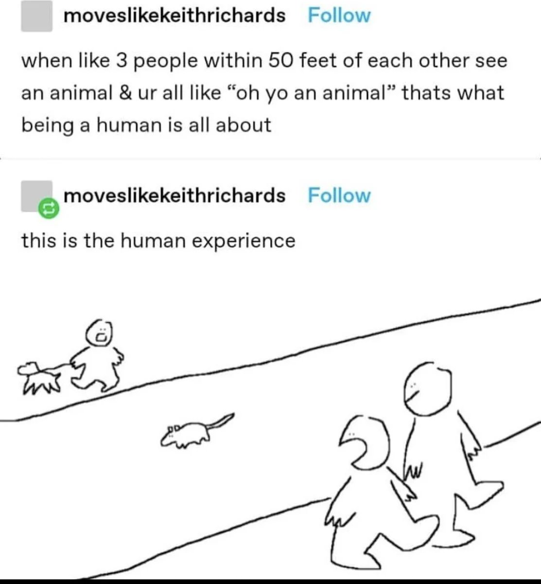 Respectful Memes tweet media