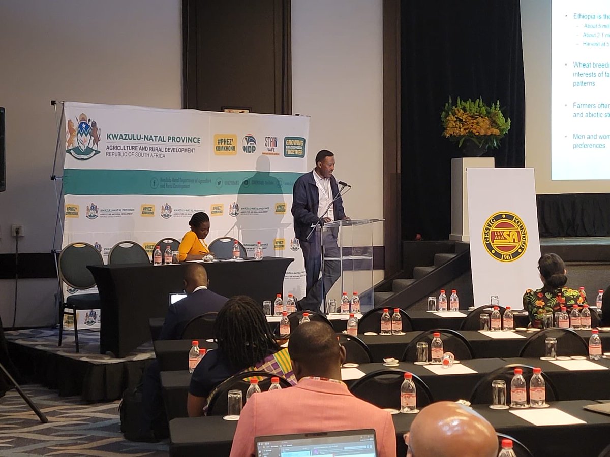 Sieg_SAS's tweet photo. Durban rocks - African ag economists grappling with climate change, soil degradation, farmer investments and risk management. Titled land consequences 4nieghbors, and willingness to pay for 2wheelers! ⁦@CIMMYT⁩ ⁦@HambuloN⁩ ⁦@luckywinner1⁩ #AAAE2023 https://t.co/fRpHYdKRC9