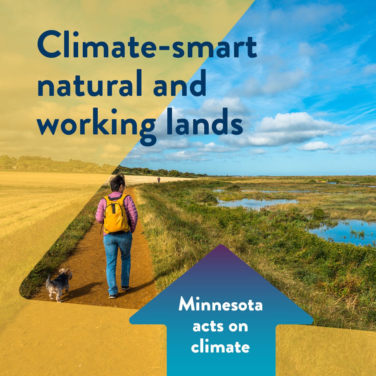 MNagriculture's tweet photo. As we celebrate #ClimateWeek, we must recognize the role Minnesota’s natural and agricultural lands play in reducing our climate pollution. In 2023, MN committed to restoring 6,000+ acres of public lands and will invest $3M+ to support climate-smart farms.
#ourMNclimate #MNAg https://t.co/FEQIXQgqvS