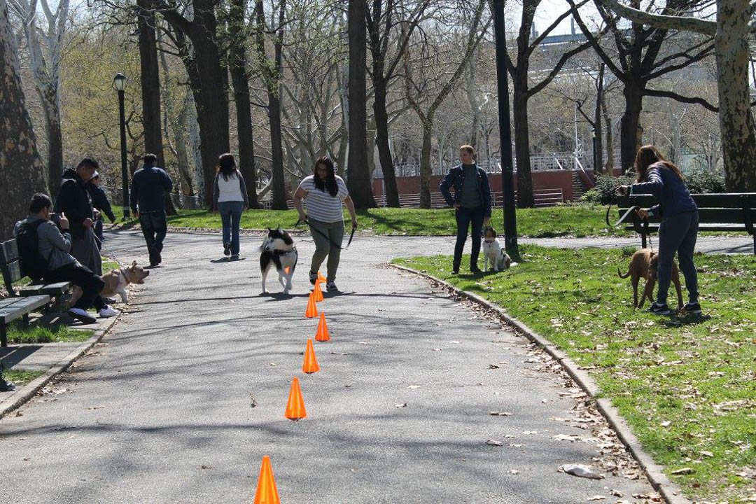 ABCsofDogT's tweet image. We work with your dog to correct undesirable behaviors and build new, positive habits. To learn more about our dog behavior modification services, contact ABC&apos;s of Dog Training today!

#DogBehaviorModification bit.ly/3G0S5gG