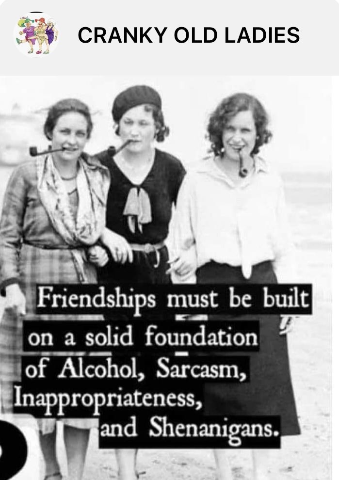 lesliebonci's tweet photo. #ActiveAdvice- from a friend that knows me so well! With age comes experience, competence, relevance and a lot of irreverence Who’s with me? #seasonedwithreason Bringing the sass,spice, crass, snark,badass &amp;smartass. #keepingon #distinctnotextinct #oldandbold #fuelsofengagement https://t.co/IiJfsZWe5l