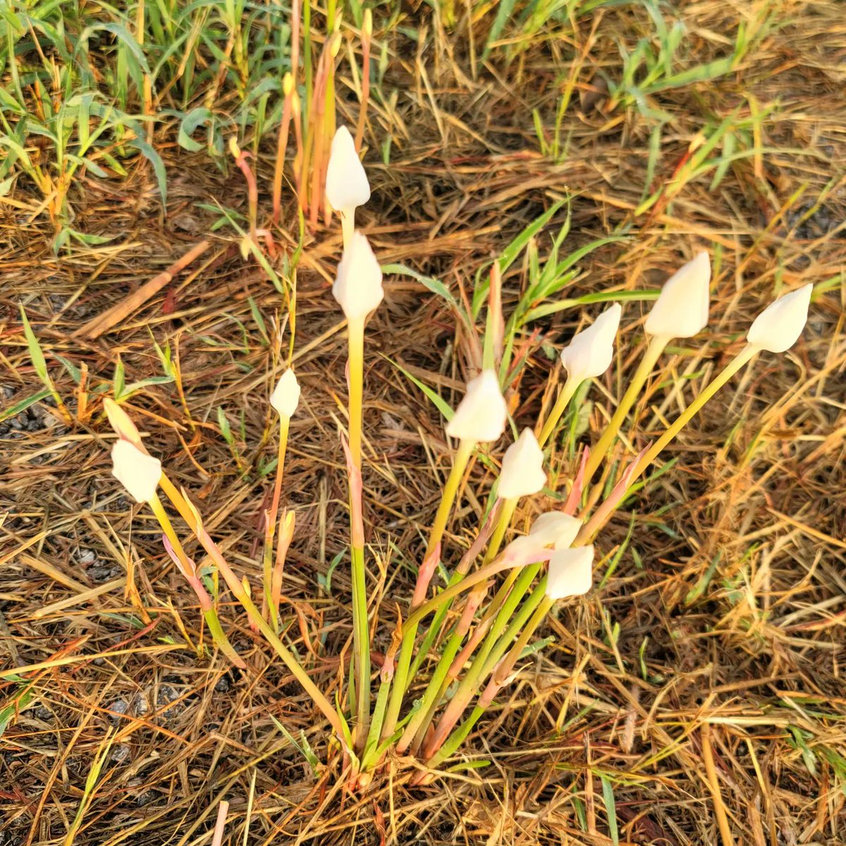 EmmaGoldmanBookClub tweet media