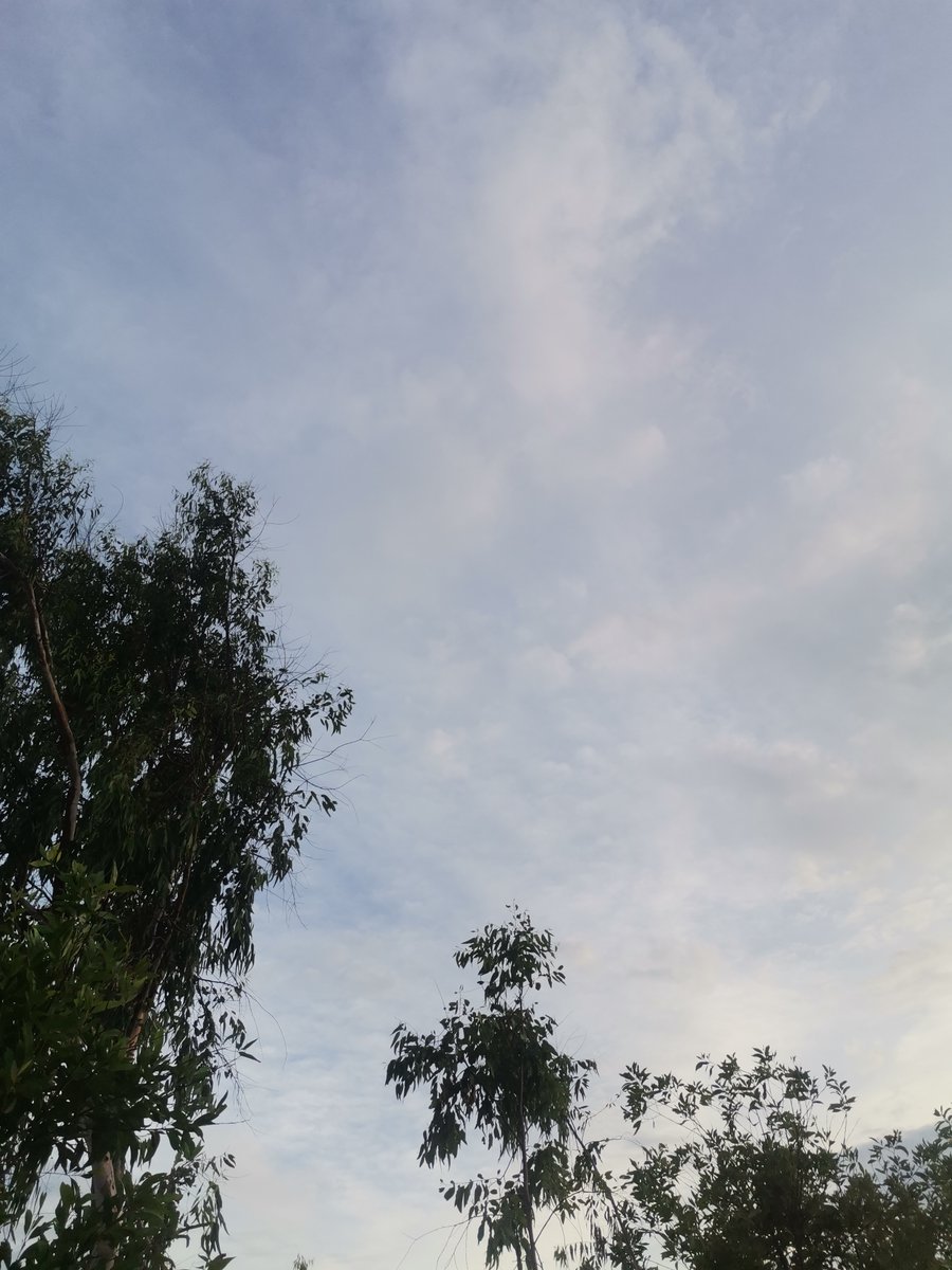 Tinh yeu vuot qua thang ngay xanh,