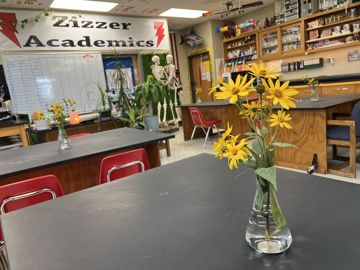 Pro Tip: Fresh flowers in your room = smiling students. Add “classroom flowers” to your classroom jobs list. This person wouldn’t have to provide the flowers each week, but they make sure that we always have some and that they are well maintained.