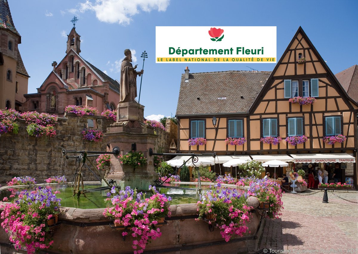 🌺[FLEURS] L'#Alsace fait désormais partie des 16 départements les plus fleuris de France ! Le Conseil national des @VVFleuris vient de décerner le Label 'Département Fleuri' pour la 1ère fois à l'Alsace dans son ensemble.
🌼346 communes participent aux #VillesEtVillagesFleuris !
