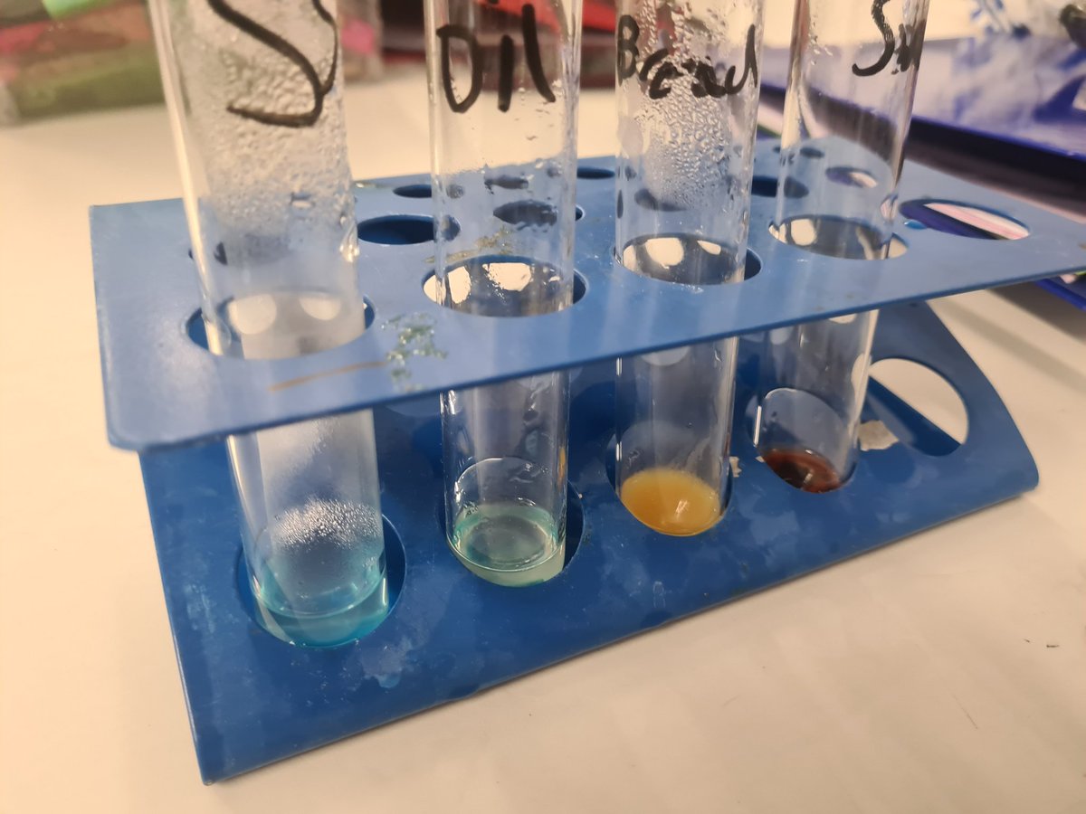 Y12s first practical 👨🏾‍🔬 #BiologicalMolecules