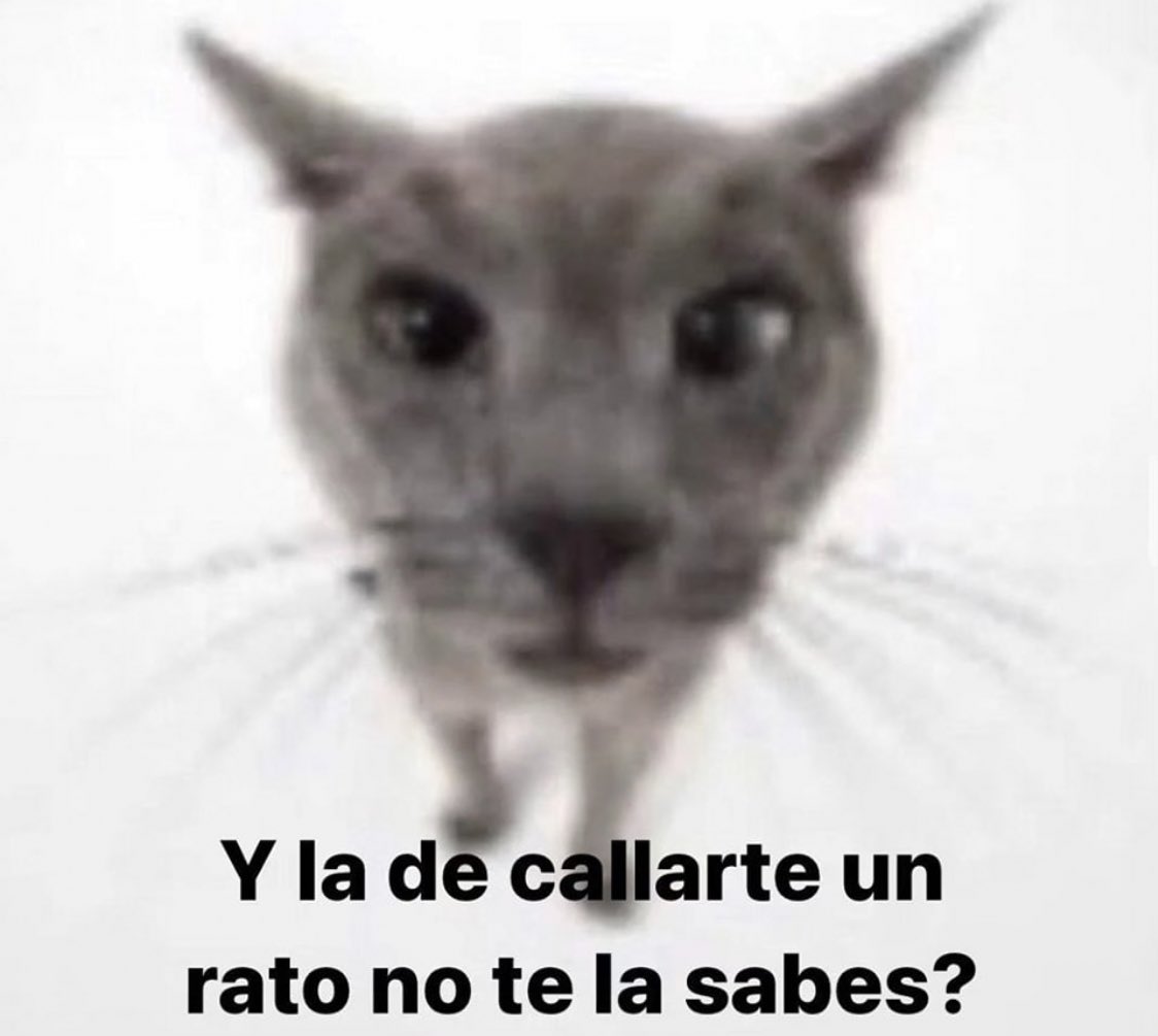 Y si todo sale bien ?, image size:1124x1005