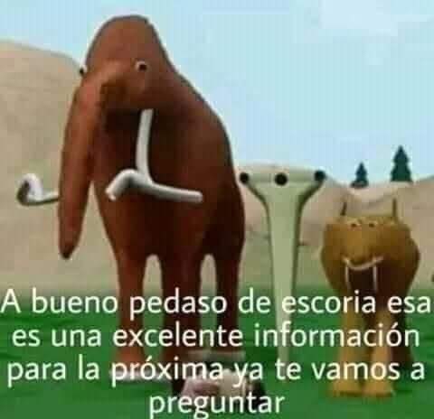 CamiloSauced0's tweet photo. @CamelloFicial https://t.co/4IVAoWJhw9