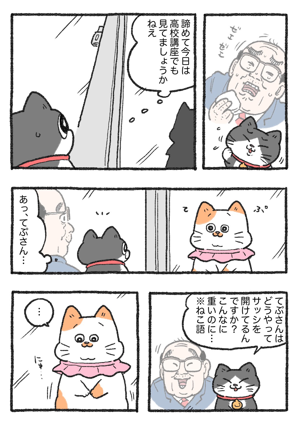 ねこ@プロフ読んでください やじま@ねこおじアニメ放送中🐱📺 on X: