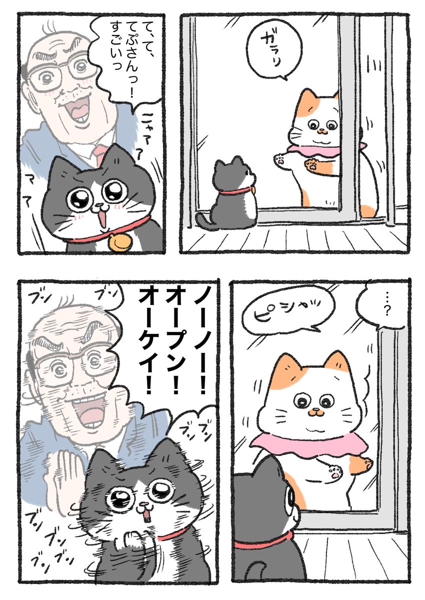 ねこに転生したおじさん。その227 😺外に出たいプンちゃん。