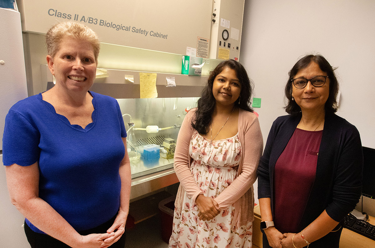 We are constantly exposed to phthalates in our environment through plastic products. In a new study, researchers used mice to understand how di-isononyl phthalate affects pregnancy.

Learn more at bit.ly/3t1j745.