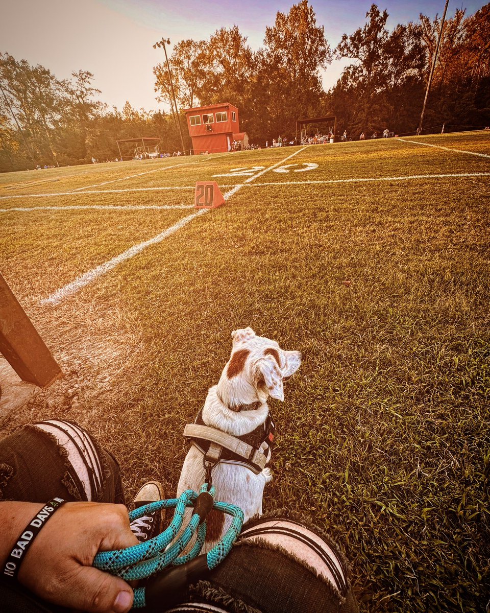 Finn’s first football game last night was fun! He was such a good boy plus he got pets from some people!

#footballgames #firstfootballgame #louisianasports #fallfootball