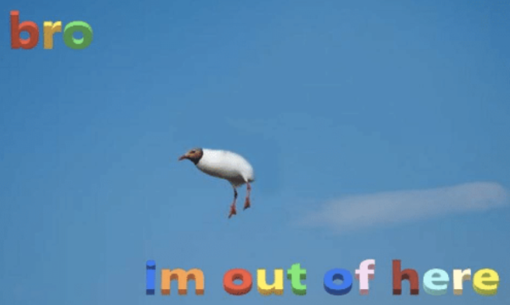 pasa cualquier cosa en el congreso fuera de lo normal

los de vox: