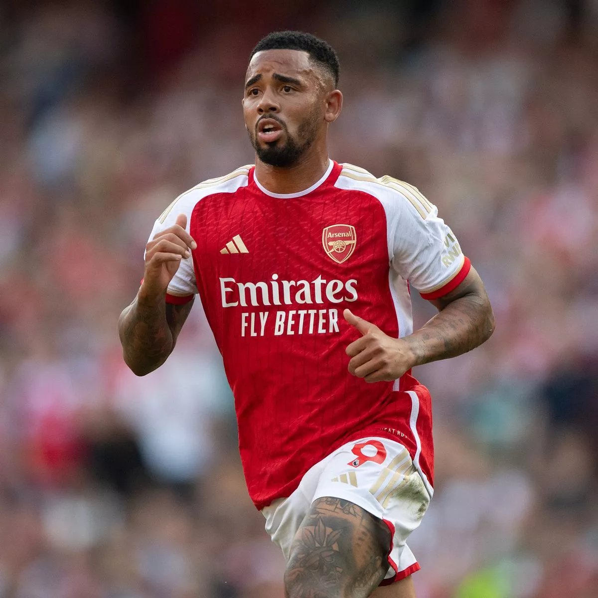 Gunnersc0m's tweet image. Gabriel Jesus on if Arsenal can win the Champions League: &quot;Of course. All the competitions, all the trophies we will go to win for. The Champions League is the same. If we think opposite we are wrong because we are playing for Arsenal.&quot; [@TomCantonMedia, @Football_LDN]