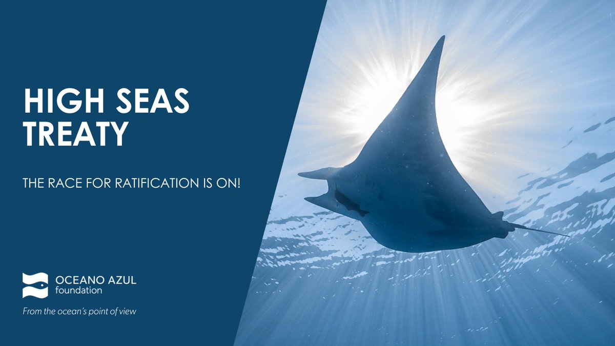 OceanoAzulF's tweet photo. For the #HighSeasTreaty to become international law, it must be signed and ratified by at least 60 countries.

We urge all member states to sign it tomorrow at the #UNGA and commit to undertake the necessary domestic measures and processes required for early ratification. https://t.co/Q5wrJFOFQ4