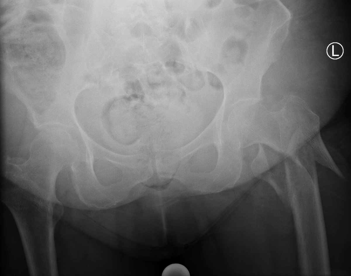 Orthocrat tweet media