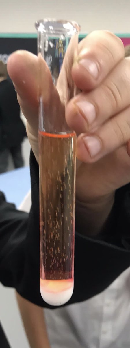 SciStm's tweet photo. Wow, what a fantastic turn out at Science club this afternoon

 🔭🔬🧬🥼🧪

Rainbow fizz investigation 🌈 with over 40 students being the best they could be! https://t.co/UcVgzR9fju
