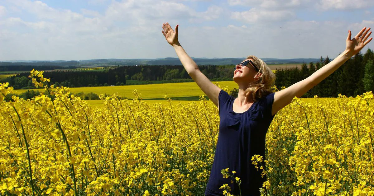 MichaelPuffer's tweet image. "In the garden of your mind, cultivate the seeds of greatness." #ScholarshipOnly #masterkeyexperience #hannelwasright 
buff.ly/3sX3Zob