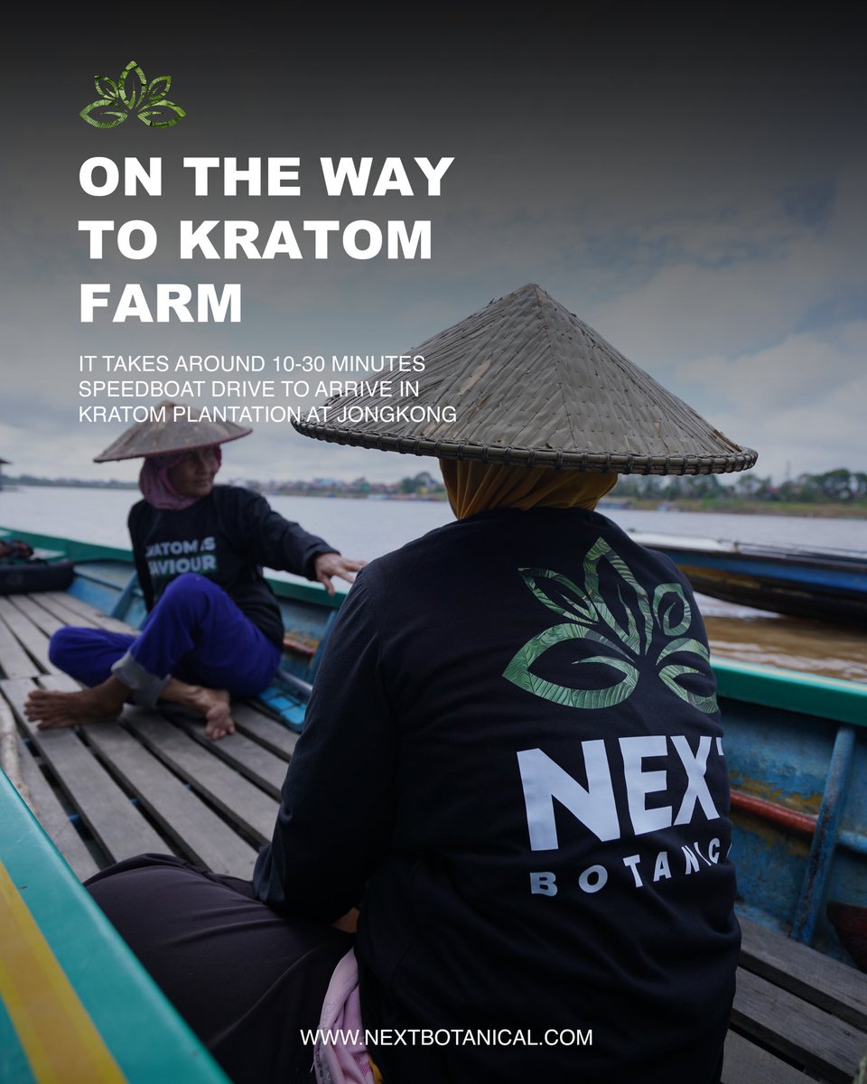 nextbotanical's tweet photo. The only way to go to kratom farm in Jongkong is through river using traditional speedboat

NEXT BOTANICAL
https://t.co/ajgbKs0J5W

#smokeshop #kr8tom #kr4tom #kr8tomwholesale #kr8tomeurope #kratom #kratomusa #kratomwholesale #kratomeurope #kratomczech https://t.co/dc5JRoflEk