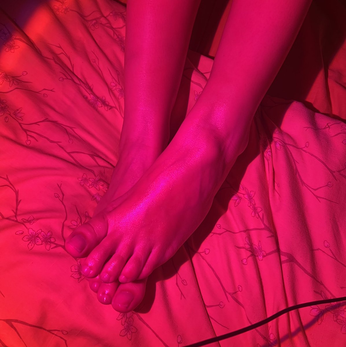 lesbiancontent6's tweet photo. $5.99 💦😈 
#feet_lover #feetcontent #feetfinder #feetpic #onlyfansbabe #onlyfanscheap 

https://t.co/9fDrItLTUd https://t.co/1MhpNDC2NU