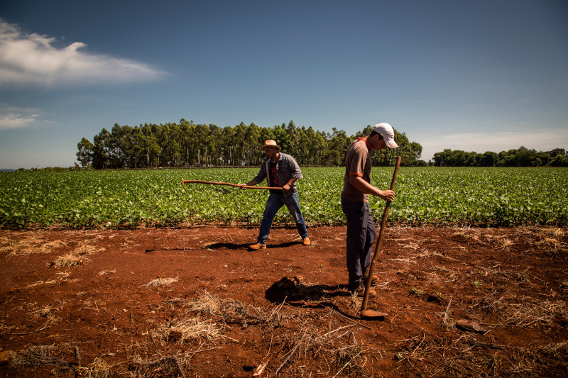 🌱 How do we use Digital Public Infrastructure (DPI) to address our diverse, complex, and deep-rooted planetary crises? The DPI approach could enable exponential green transitions. Here are five ideas to accelerate the 2030 Sustainable Development Goals: go.undp.org/4FYM