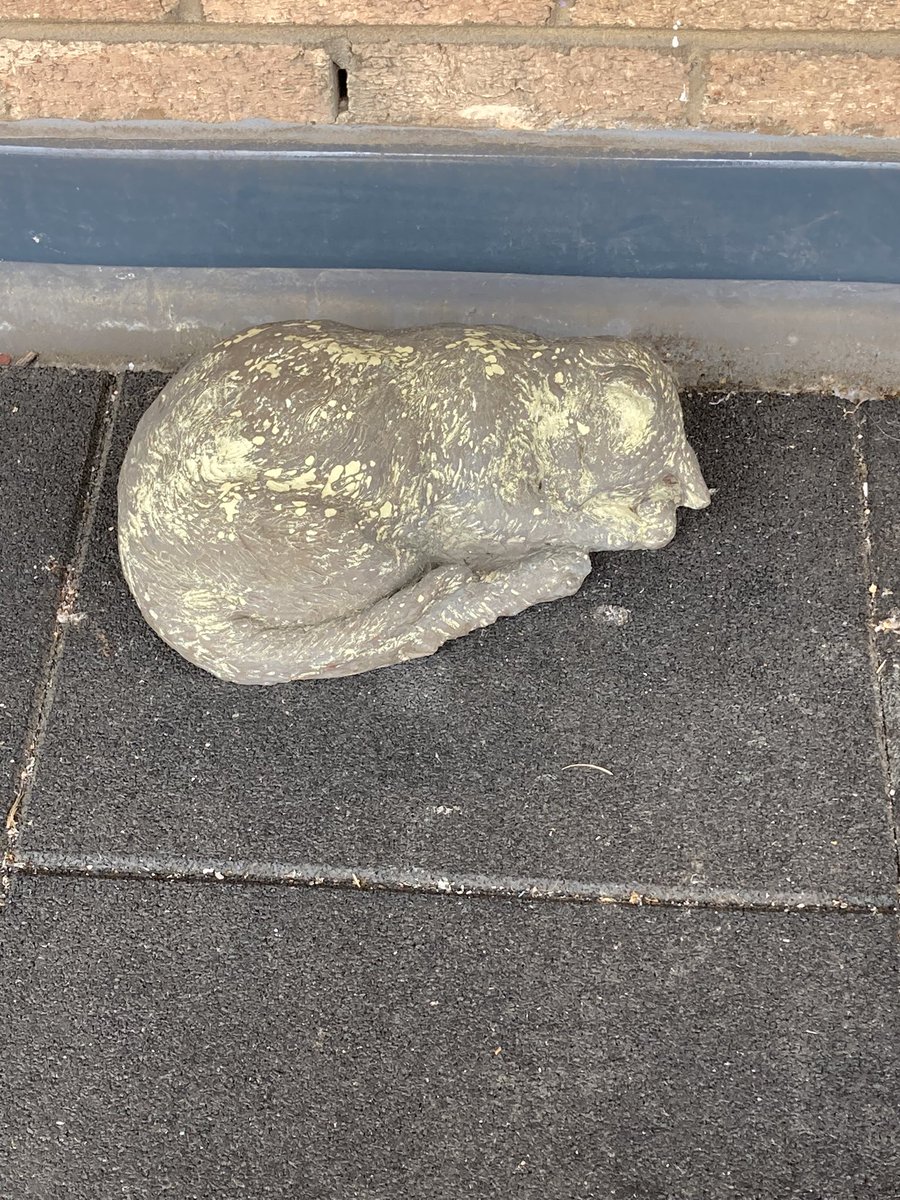 _ClareProctor's tweet image. 20yrs ago someone I worked with took suddenly ill and died. The QMC roof garden was redone, funded by her parents, who bought these two cats as part of it. Lovely to see them still there although post-Covid the garden needs some tlc…. @JohnPeach3 @SWBNUH